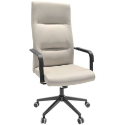 Fotoliu Birou Remo~Grey